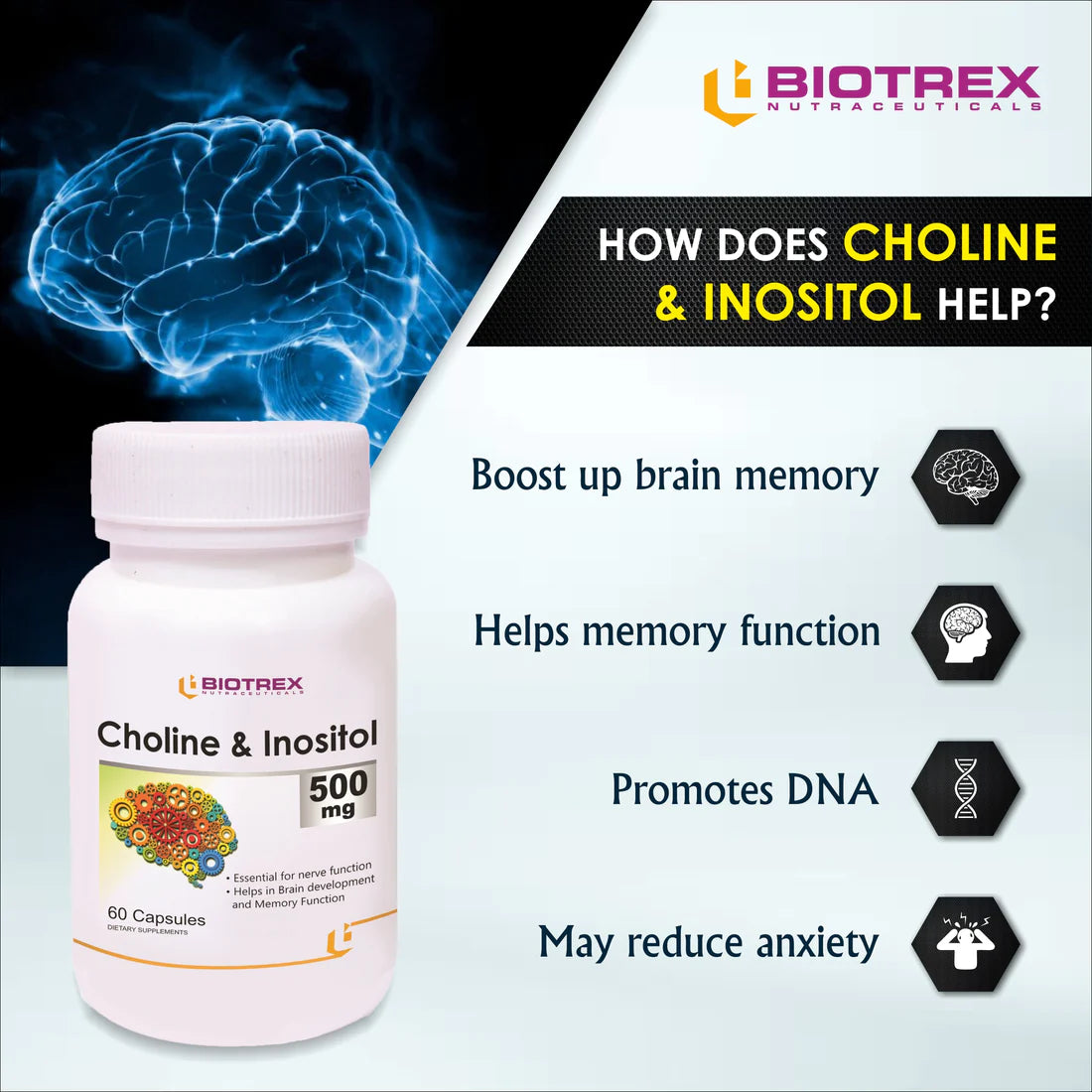 Cholin und Inosit
