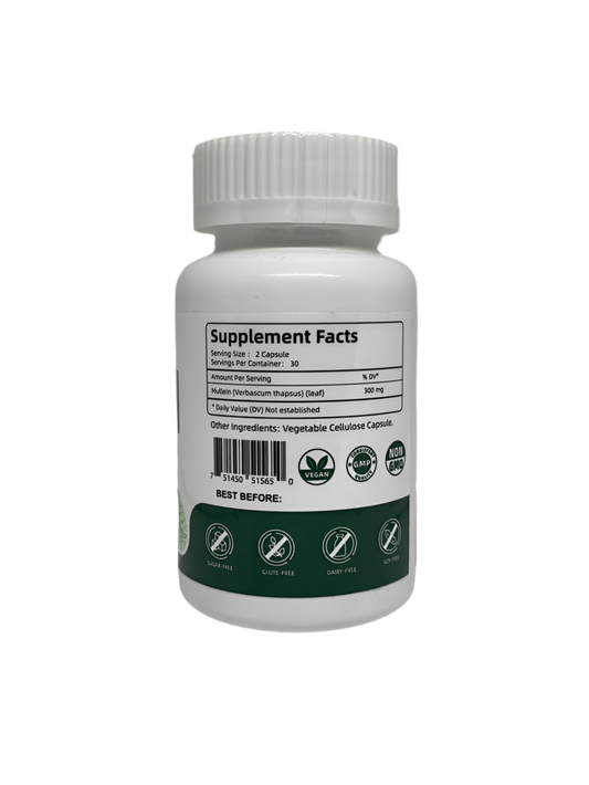 Königskerzenkapseln