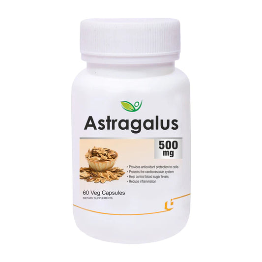 Astragale 500mg