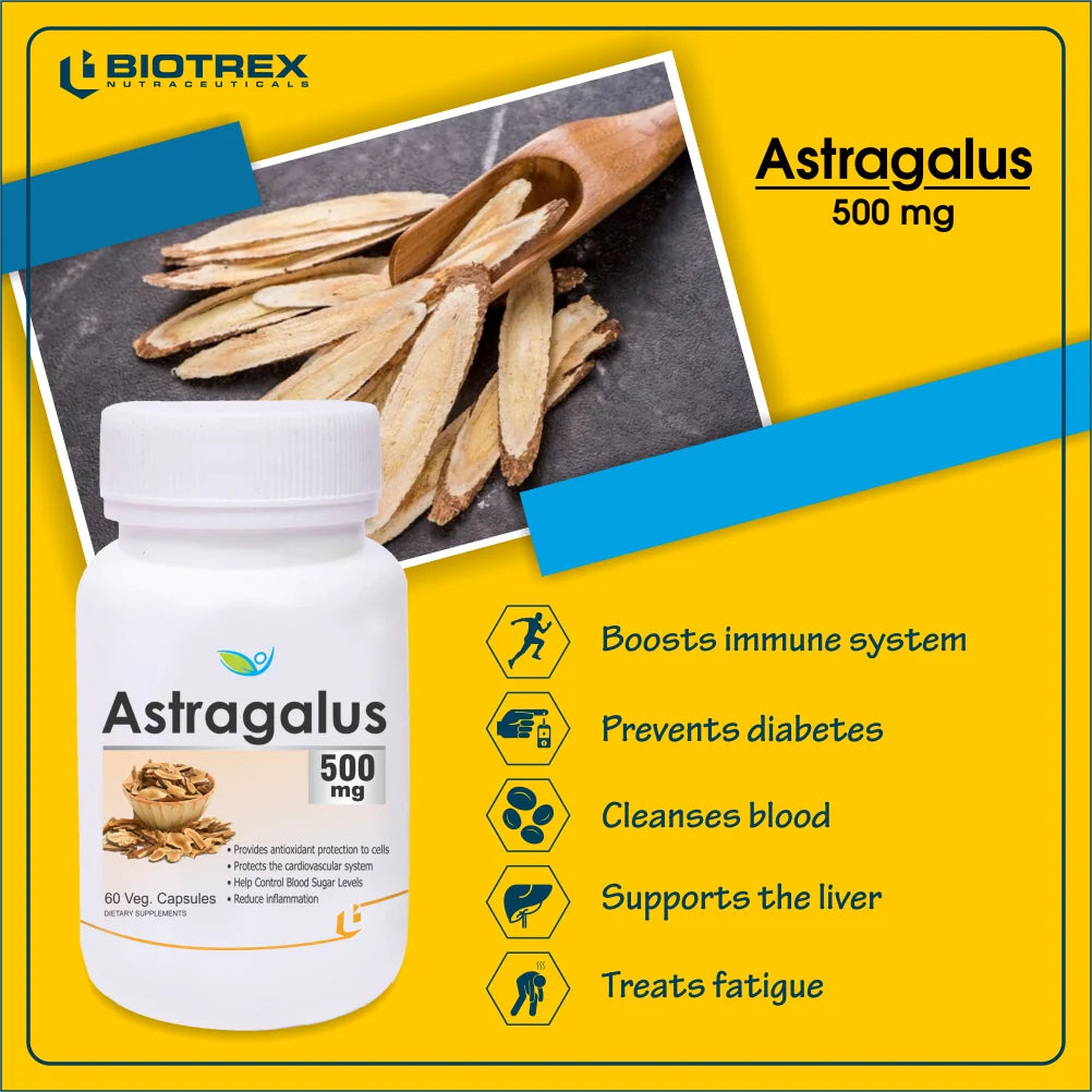 Astragale 500mg