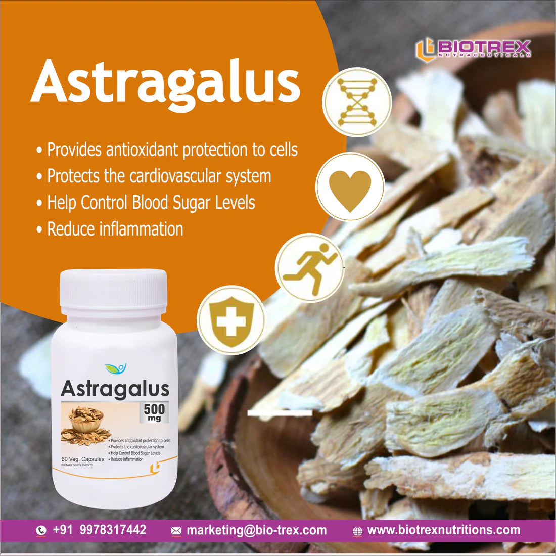 Astragalus 500 mg