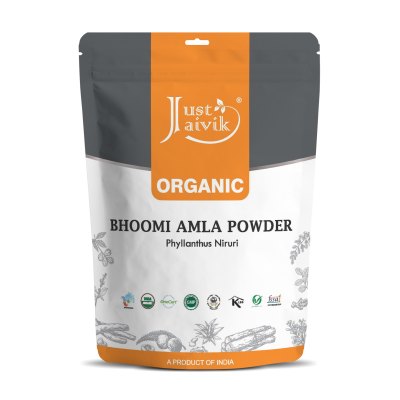 Organic Bhoomi Amla Powder