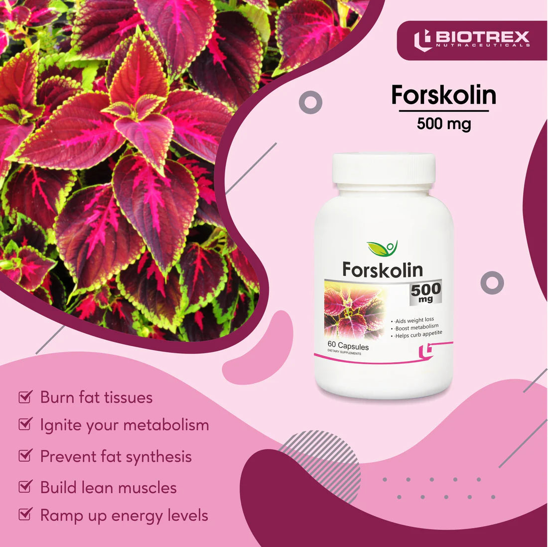 Forskoline 500 mg